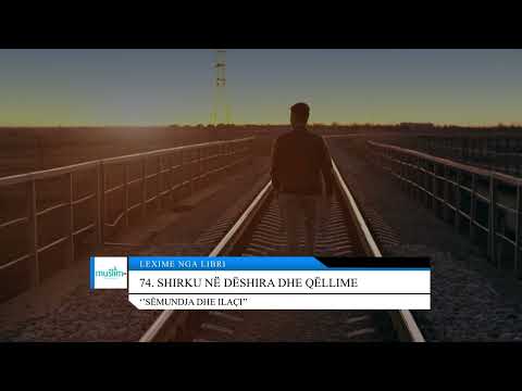 74. Shirku në dëshira dhe qëllime - Lexime nga libri: ''Sëmundja dhe ilaçi''