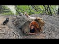 Building A Warm And Cozy Secret Shelter Deep Inside A Large Tree Bushcraft Survival Dugout