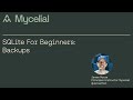 SQLite For Beginners Database Backups