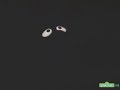 Sesame Street Kermit And Grover In The Dark 360p