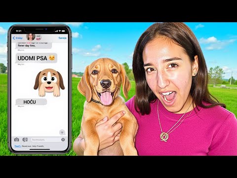 NE ŽELIMO VIŠE ŠEKIJA? NETKO ĆE GA UDOMITI