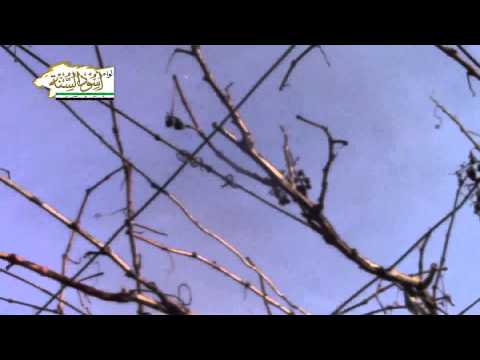 التصدي للطيران الحربي في سماء بلدة الشيخ مسكين في ريف درعا