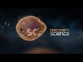 Discovery Science UK Idents (2012-2017)