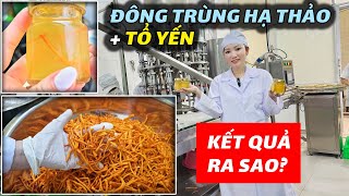 Đây là Lý Do KT Food Về Việt Nam lần Này! Quá Trình Làm Ra Nước Uống Bổ Dưỡng Từ Tổ Yến Đông Trùng