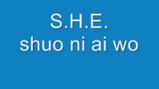 S H E ~ shuo ni ai wo 说你爱我