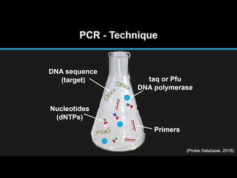 BCM201 Group 2 Assignment