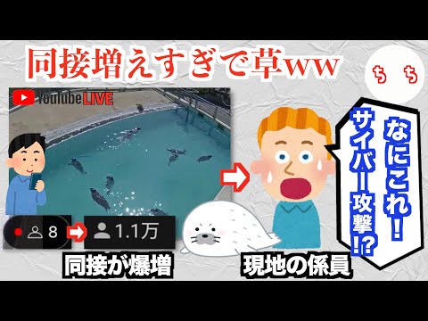 フォカルクトス・フケリ