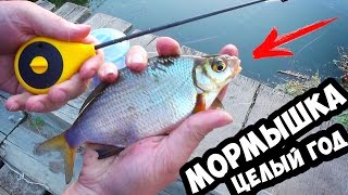 Ловля плотвы летом на мормышку