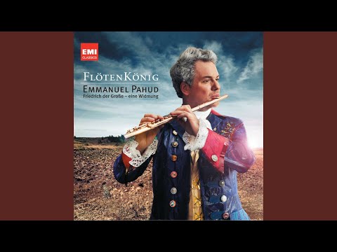 Flute Concerto in E Minor, L 2.4: I. Allegro con brio