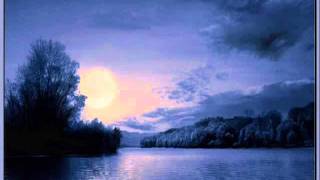 Assemblage 23: Cocoon