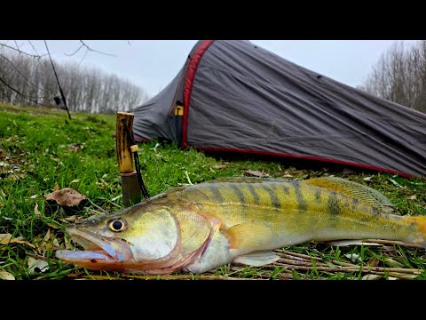 3 days on the Danube - SALAU on the HOT WATER CANAL in JANUARY