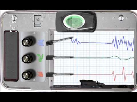 Lie Detector Prank Video