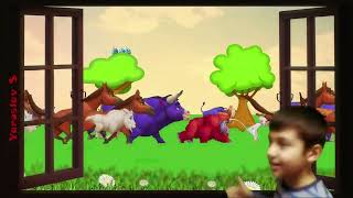 Animal Stampede | Behind My Window