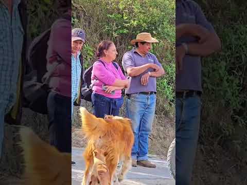 🚧 AVANZAN LOS PROCESOS PARA LA CONSTRUCCIÓN DE PLACA HUELLAS 🚧