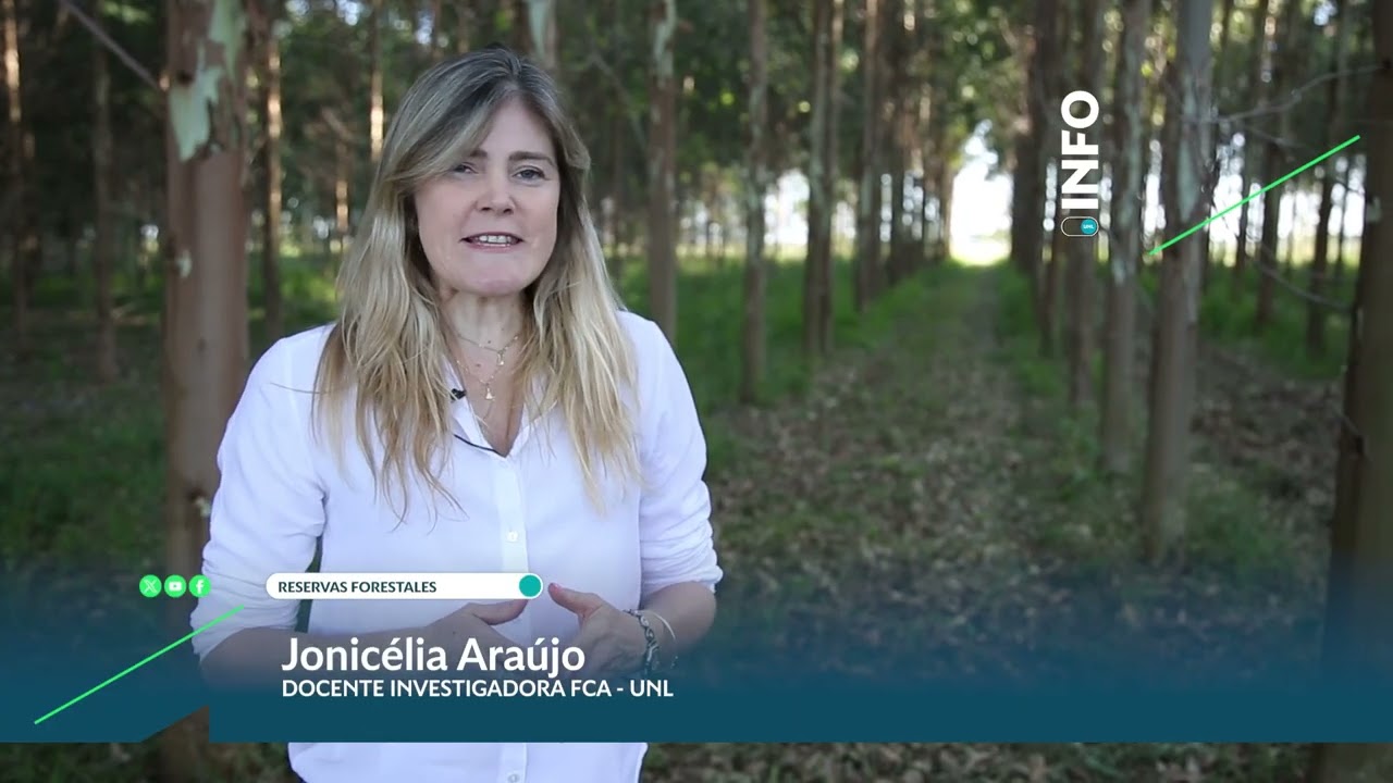 Forestación: una solución clave contra el cambio climático