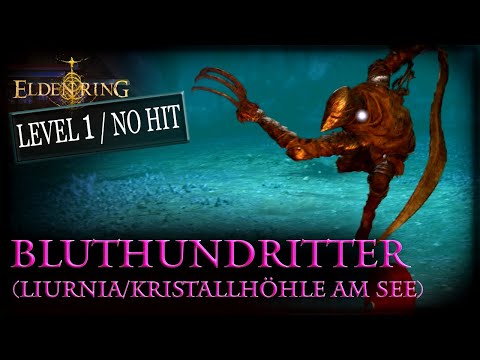 Finde die Kristallhöhle am See und besiege den Bluthundritter Solo @ Level 1 No Damage!