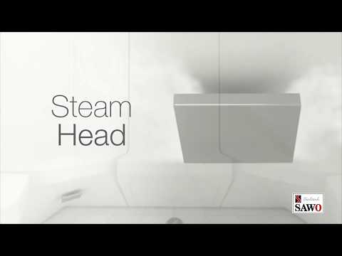 Steam Head