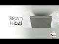 Steam Head