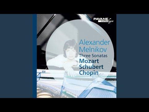 Piano Sonata in B Minor No. 3, Op. 58: I. Allegro maestoso