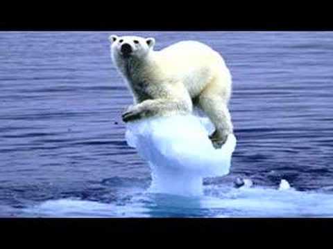 An Inconvenient Truth Sequel ? | ZapRoot