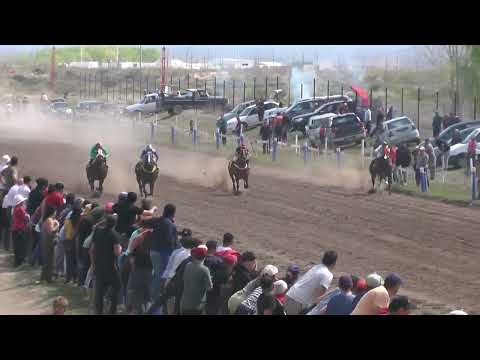 DON CARLOS  Club Hípico Cipriano Catriel - Catriel - Río Negro - 24-09-23