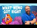 A Father's Love Never Gives Up | Finding Nemo & The Prodigal Son