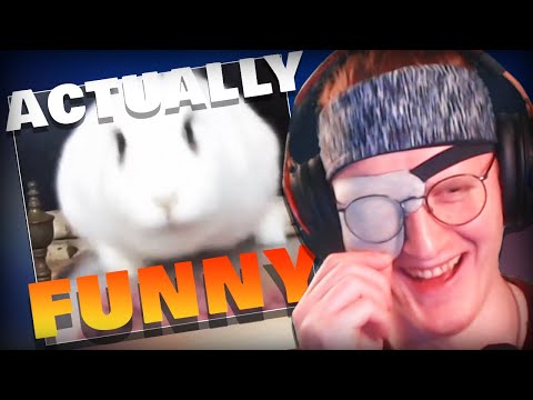 Memes That Are Actually Funny (REACTION)