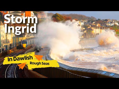 Coast Cams and Beach Cams Man