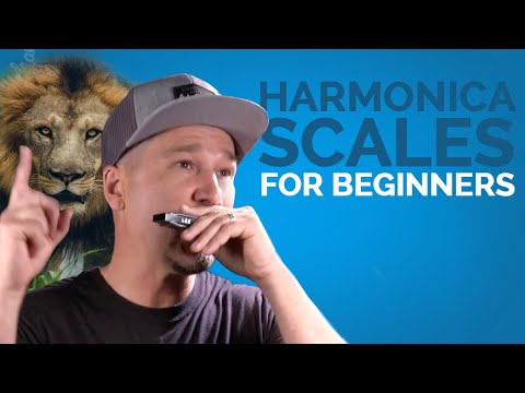 Harmonica Scales For Beginners (While Learning to Play Something Cool)