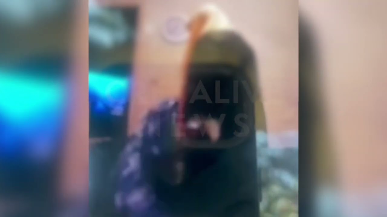 Ηράκλειο: Απίστευτα βασανιστήρια γυναίκας από 42χρονη- Της έκοψε τα μαλλιά με... μπαλτά