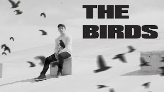 The Birds Music Video