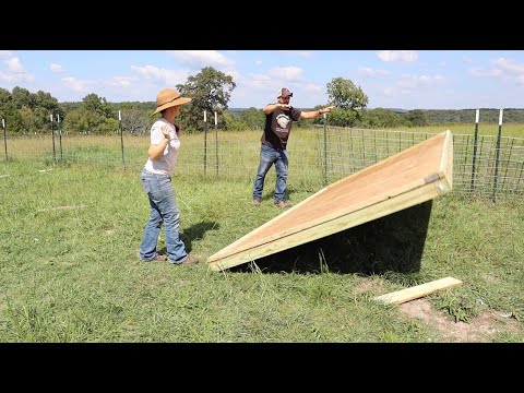 Building an Outdoor Quail Aviary - Protecting and Providing for our Quail