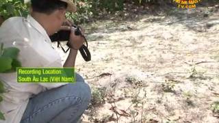 Like Mother Like Daughter:New Found Self-Cloning Lizard in Au Lac