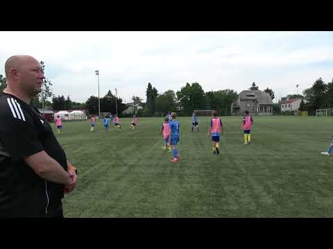 ELANA -  DĄB WIELISZEW