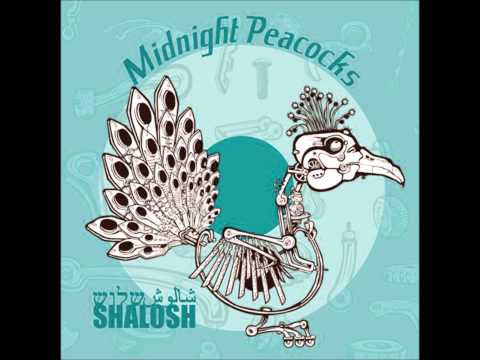 Midnight Peacocks - Marrakesh طاؤوس نص الليل  / مراكش