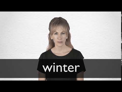 Spanish Translation Of Winter Collins English Spanish Dictionary