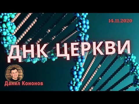 "ДНК ЦЕРКВИ" Данил Кононов. 14.11. 2020