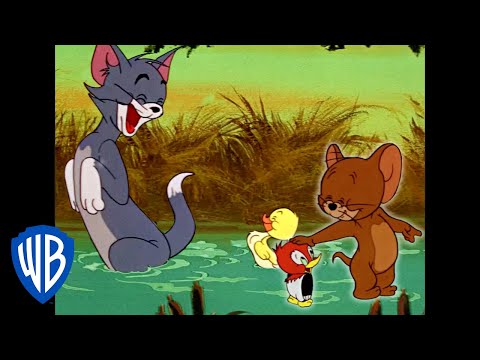 Том и Джерри | Это семейное | WB Kids