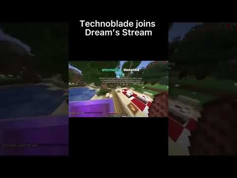 "Technoblade Shockingly Joins Dream's Minecraft Stream!" #dream #minecraft