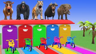 Download lagu Long Slide Game with Cow Elephant Gorilla Hippopotamus Tiger 3d Animal Game Funny 3d Animals mp3 Download lagu Long Slide Game with Cow Elephant Gorilla Hippopotamus Tiger 3d Animal Game Funny 3d Animals mp3
