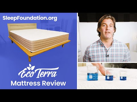 image-Is eco Terra a good brand?