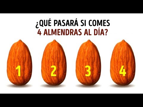 Los 8 Beneficios De Comer Cuatro Almendras Al Día