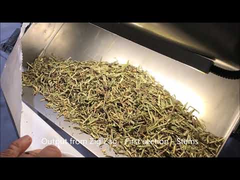 Herb processing line - Melissa
