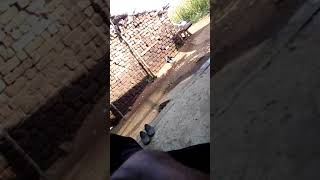 Download lagu November 3, 2019 mp3 Download lagu November 3, 2019 mp3