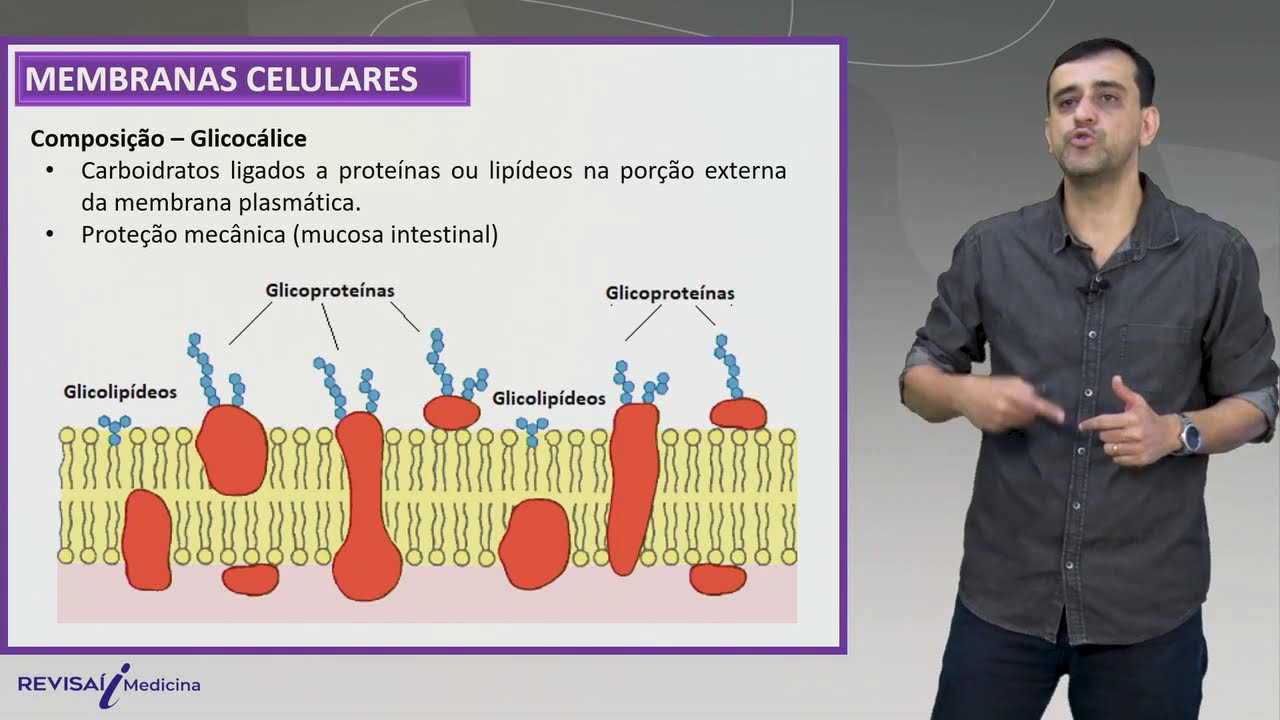 Membranas celulares - Videoaula | Ciclo Básico de Medicina
