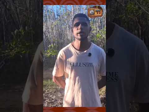 VOZES DO QUILOMBO: RESISTÊNCIA, TERRITÓRIO E DIREITOS