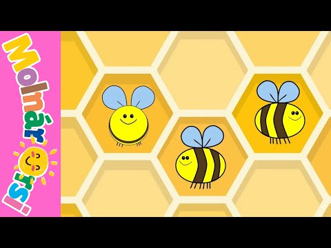 🐝 Méhek tánca 🐝 - gyerekdal