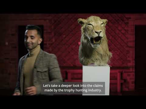 How trophy hunting works with Dr. Amir Khan
