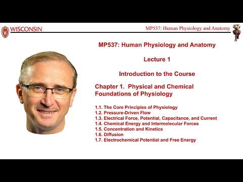 Lecture 1 of Medical Physics 537, Human Physiology and Anatomy, with course instructor Marty Pagel