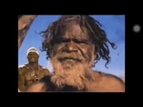 Run Gordon it the police man👮🏽‍♂️